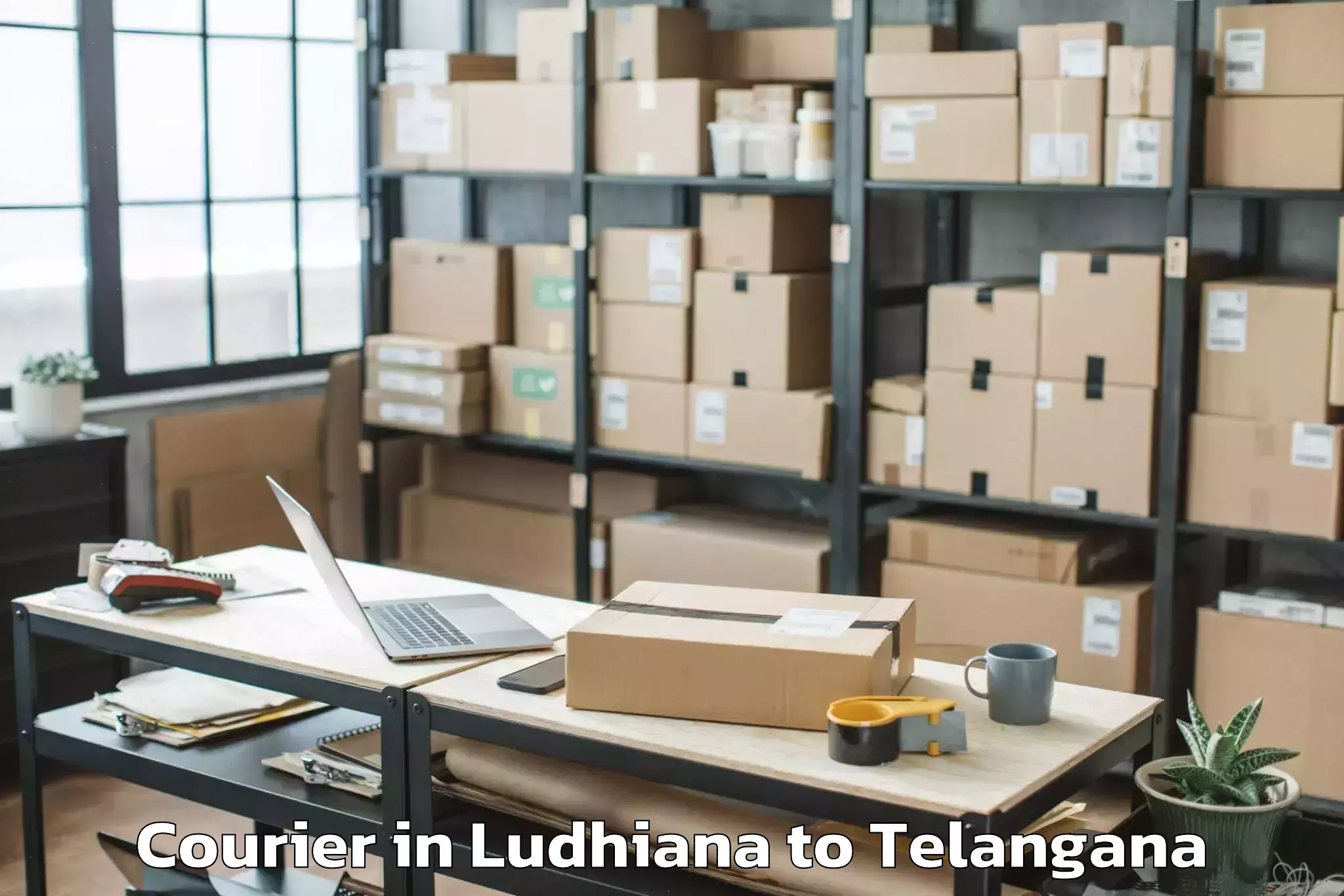 Book Ludhiana to Dammapeta Courier